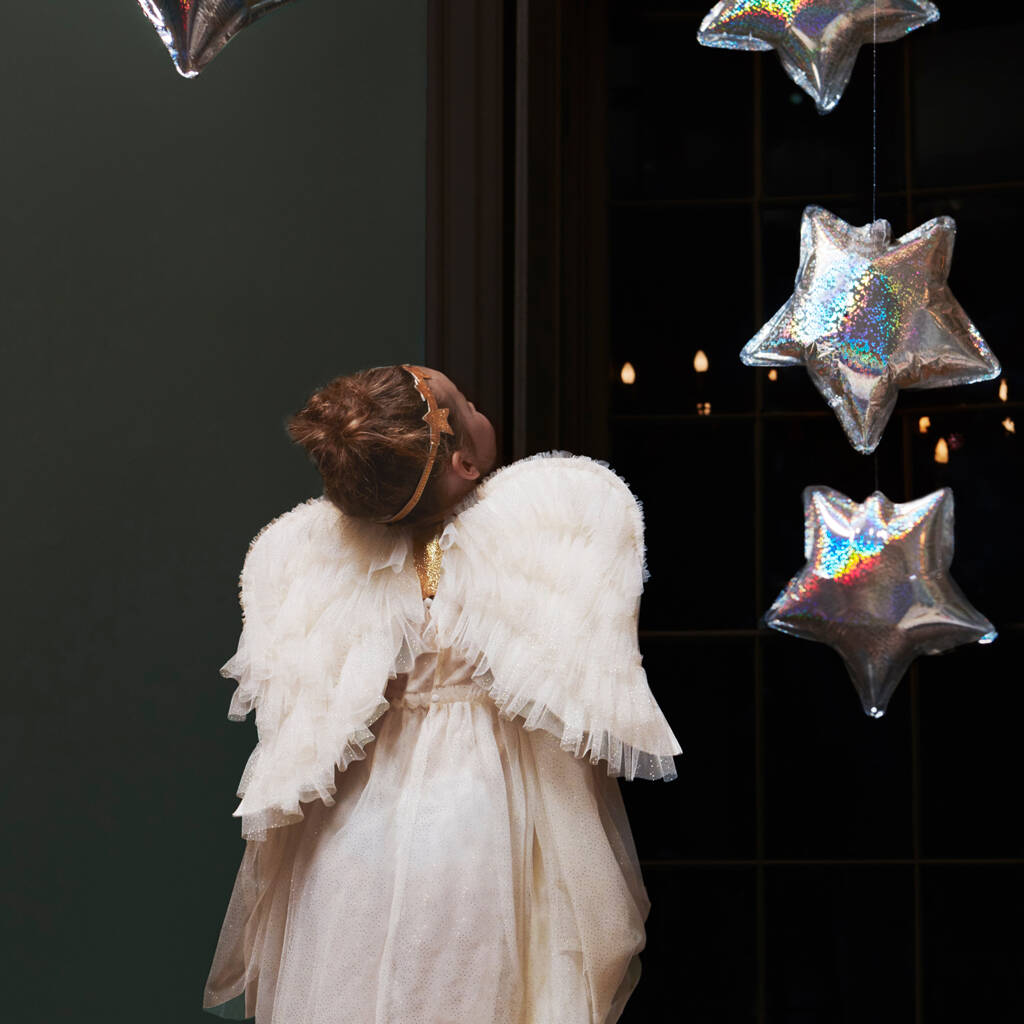 Angel Tulle Wings And Crown, 1 of 7