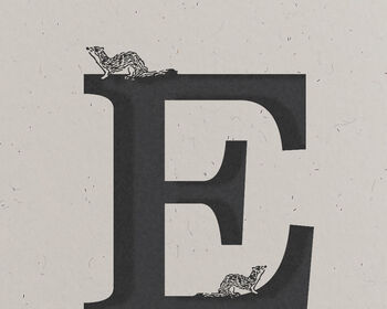 E Is For Ermine, Alphabet Card, 2 of 3