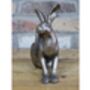Cute Bronzed Sitting Hare Figurine – Rabbit Ornament, thumbnail 3 of 6