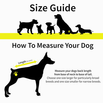 Christmas Red Fairisle Dog Jumper, 4 of 5