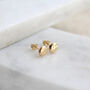 14ct Solid Gold Tiny Blob Stud Earrings, thumbnail 1 of 3