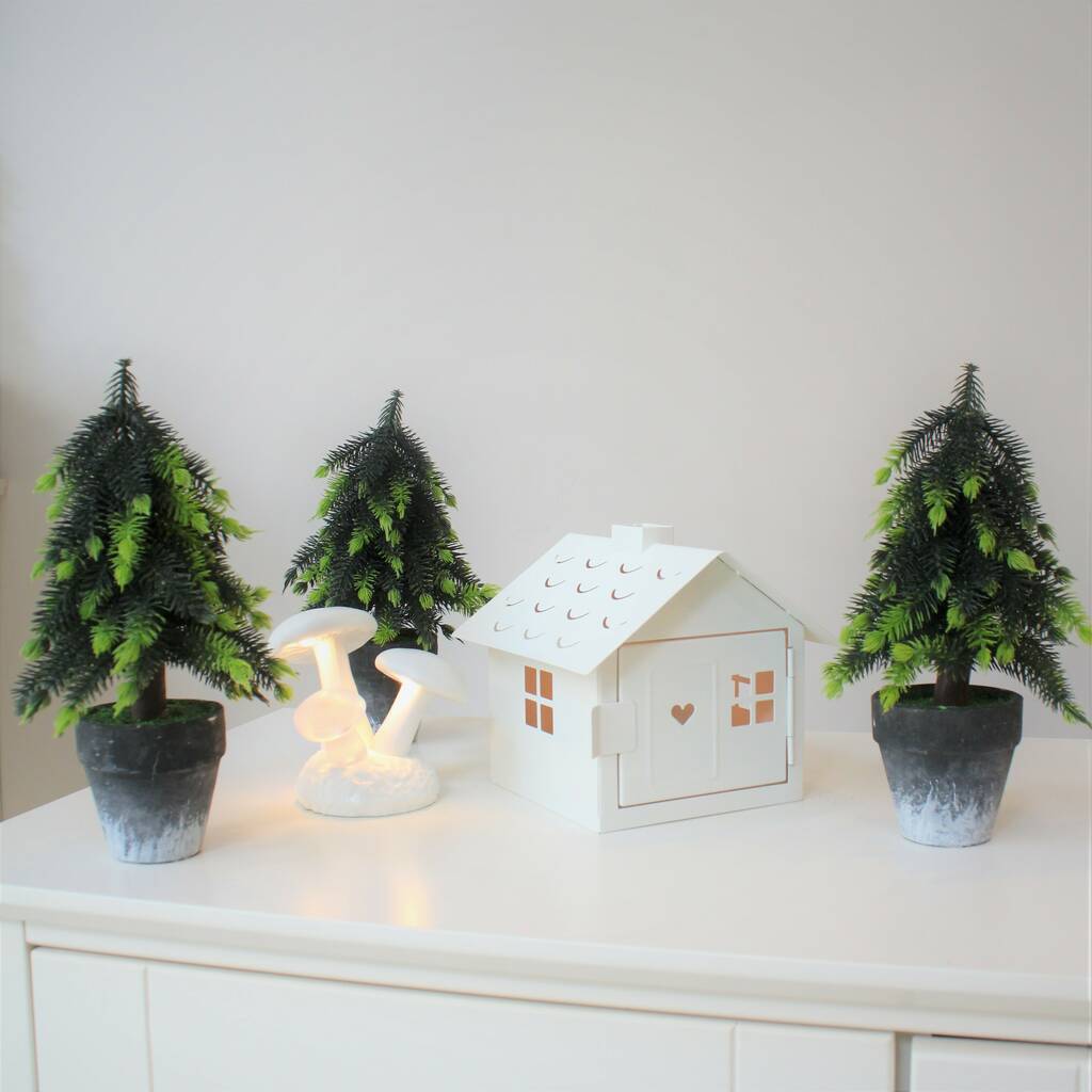 Small Potted Christmas Tree By Little Ella James | notonthehighstreet.com