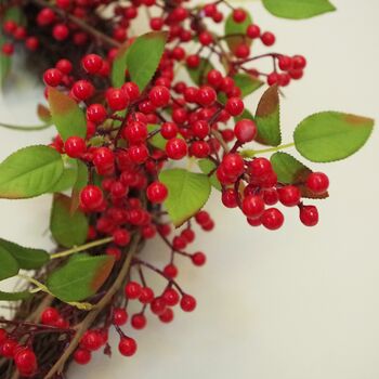60cm Artificial Christmas Natural Red Berry Wreath, 5 of 8