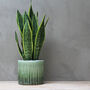 Green Ceramic Plant Pots, thumbnail 3 of 6