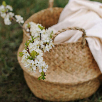 Natural Seagrass Belly Basket, 2 of 6