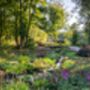 Visit Rhs Garden Bridgewater Day: A Garden Lover's Paradise. For Two, thumbnail 6 of 11