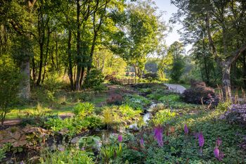 Visit Rhs Garden Bridgewater Day: A Garden Lover's Paradise. For Two, 6 of 11