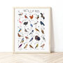 The A To Z Of Birds Print, thumbnail 1 of 6