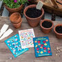 Nature Seeds Party Favours For Kids, thumbnail 1 of 5