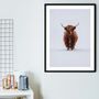 Framed Highland Cow In Snow Print, thumbnail 1 of 7