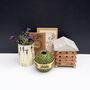 Purple Petals Miniature Bee House Garden Gift Box, thumbnail 1 of 7