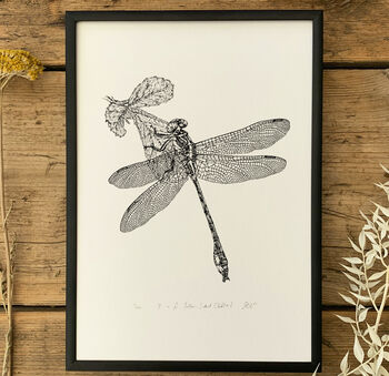 Y Is Yellow Side Clubtail Dragonfly Illustration Print, 3 of 6