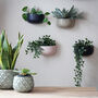 Ceramic 'Wide' Wall Planters, thumbnail 1 of 7