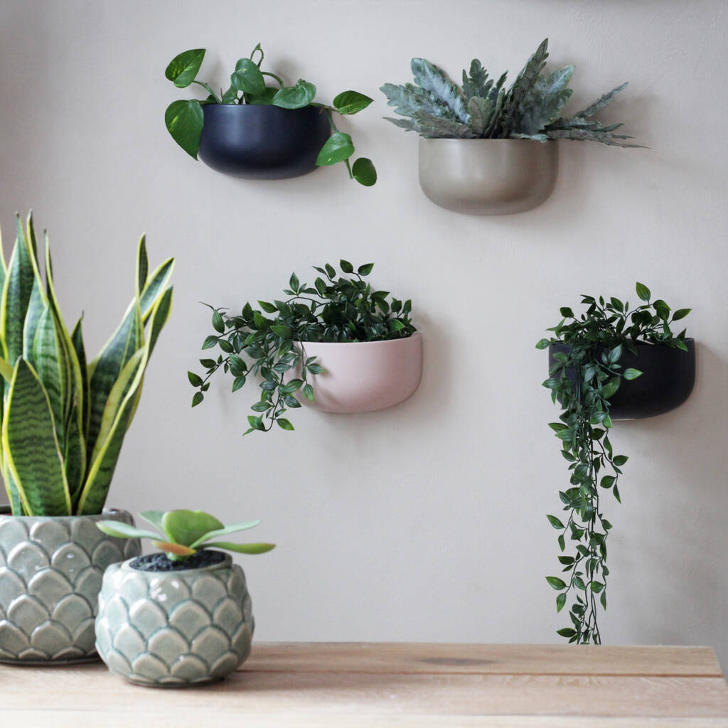 Ceramic 'Wide' Wall Planters, 1 of 7
