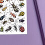 Beetles Of Britain Watercolour Postcard, thumbnail 6 of 8