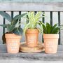 Bloom Where You Are Planted Terracotta Plant Pot, thumbnail 1 of 3