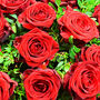 Dozen Red Roses Bouquet Of Fresh Flowers, thumbnail 3 of 4