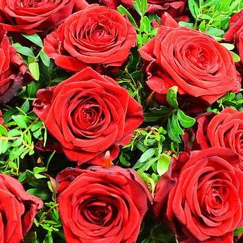 Dozen Red Roses Bouquet Of Fresh Flowers, 3 of 4