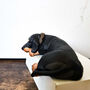 Sleeping Dachshund Sculpture, thumbnail 3 of 7