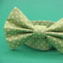 Green Polkadot Dog Bow Tie, thumbnail 6 of 6