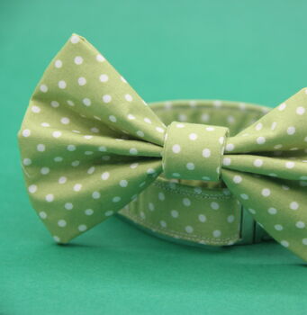 Green Polkadot Dog Bow Tie, 6 of 6