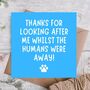 Thanks For Looking After Me Birthday Card From Dog, thumbnail 1 of 3