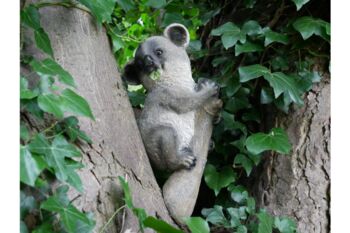 Hanging Koala Garden Ornament – Tree Branch Sculpture, 4 of 4