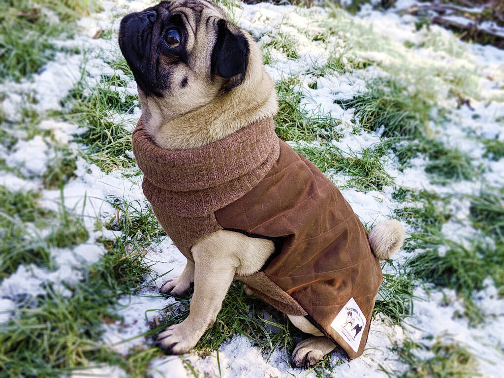 Waxed Cotton Quilted Snood Made To Measure Dog Jacket By Grumble