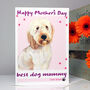 Personalised Cockapoo Mother's Day Card, thumbnail 3 of 6