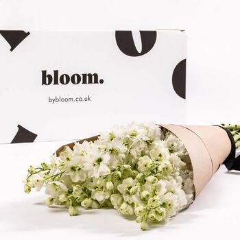 Porcelain White Delphinium Fresh Flower Bouquet, 2 of 3