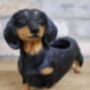 28cm Dachshund Sausage Dog Novelty Pot Indoor Outdoor, thumbnail 5 of 5