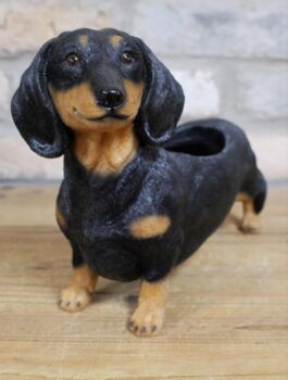 28cm Dachshund Sausage Dog Novelty Pot Indoor Outdoor, 5 of 5