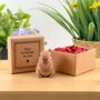 Capy Birthday To You Tiny Little Gifts, thumbnail 2 of 3