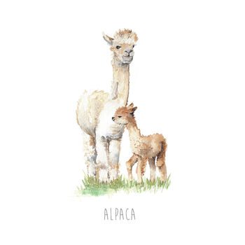 Personalised Alpaca Art Print, 4 of 5