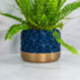 Midnight Transform Planter, thumbnail 4 of 4