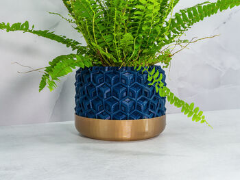 Midnight Transform Planter, 4 of 4