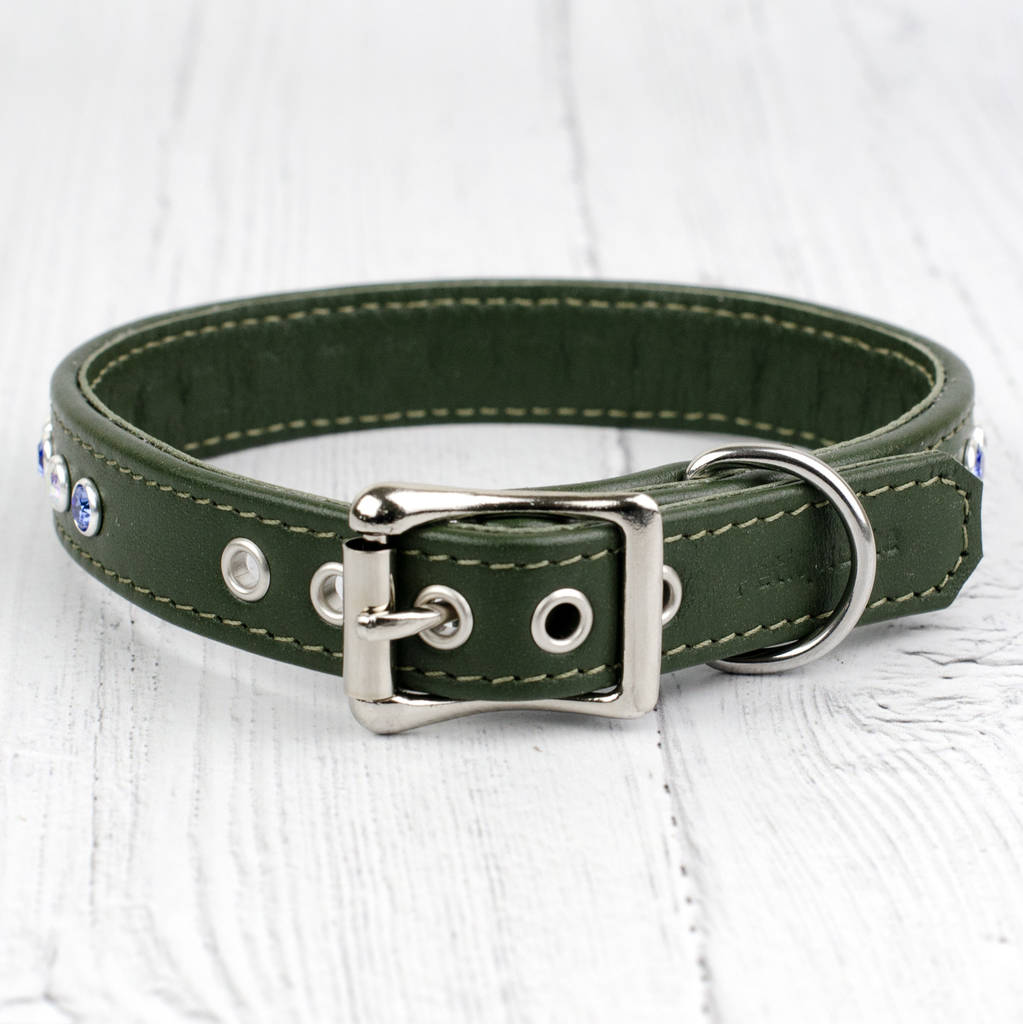 Straight Flush Bespoke Crystal Dog Collar By Petiquette Collars