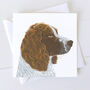 'Springer Spaniel' Dog Card, thumbnail 1 of 2