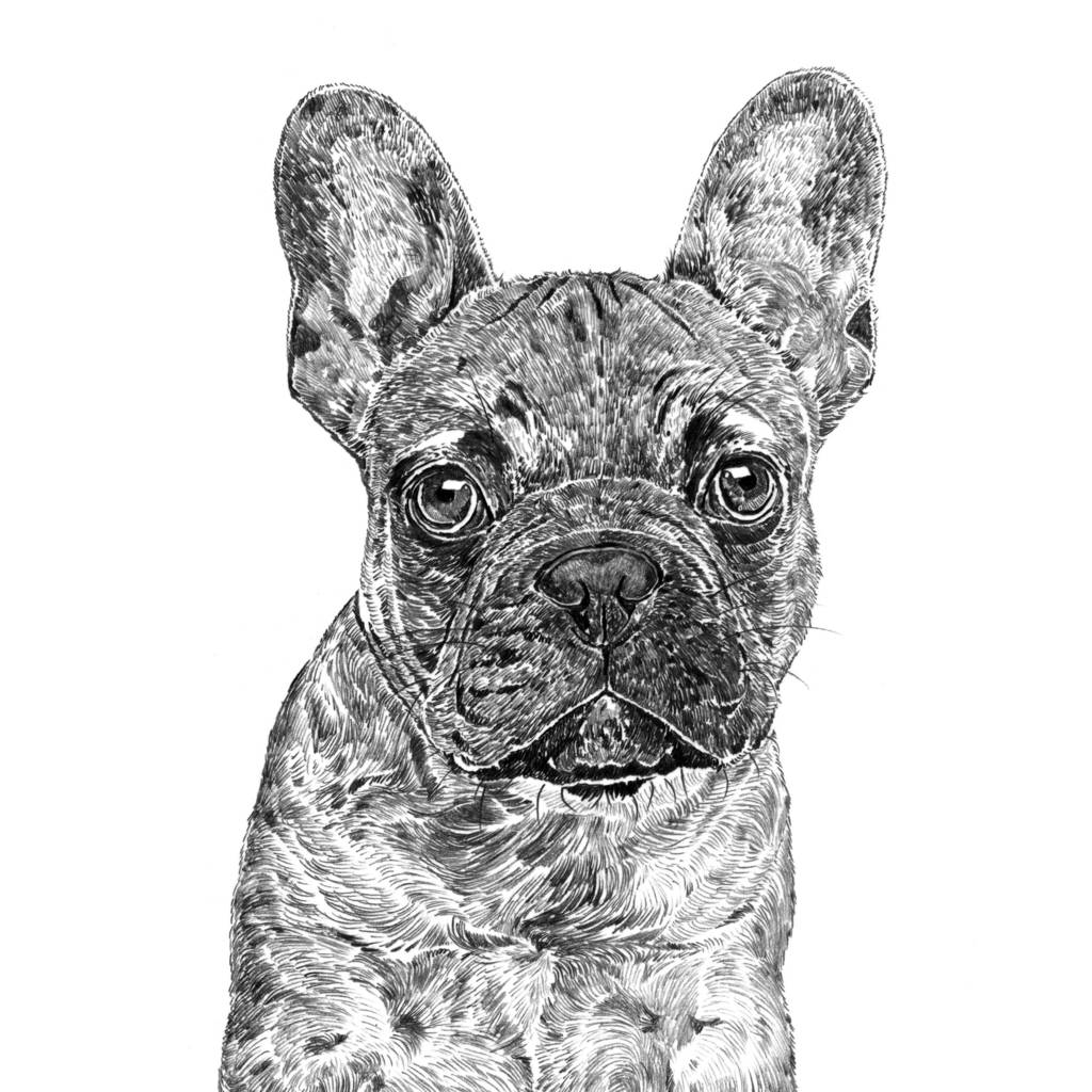 French Bulldog Art Print By Ros Shiers | notonthehighstreet.com