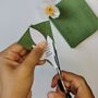 Paper Flower Craft Kit: Japanese Anemone, thumbnail 8 of 8