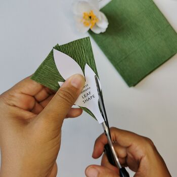 Paper Flower Craft Kit: Japanese Anemone, 8 of 8