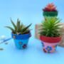 Terracotta Plant Pot Kit For Kids, thumbnail 5 of 5