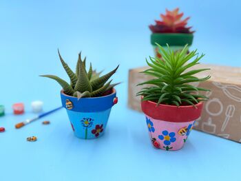 Terracotta Plant Pot Kit For Kids, 5 of 5