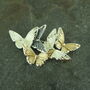 Silver And Golds Butterfly Brooch, thumbnail 1 of 4