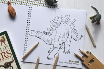 Dinosaur Colouring Book, 6 of 7
