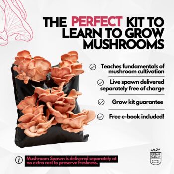 Oyster Mushroom Growing Kit – Gift Option, 5 of 12