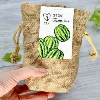 Grow Your Own Mini Melons Set, 4 of 9