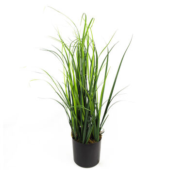 Artificial Grass Plant With White Ceramic Planter, 2 of 5