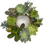 Diy Succulent Wreath, thumbnail 4 of 5