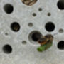 Yellow Beepot Mini Bee Hotel And Planter Garden Gift, thumbnail 10 of 10